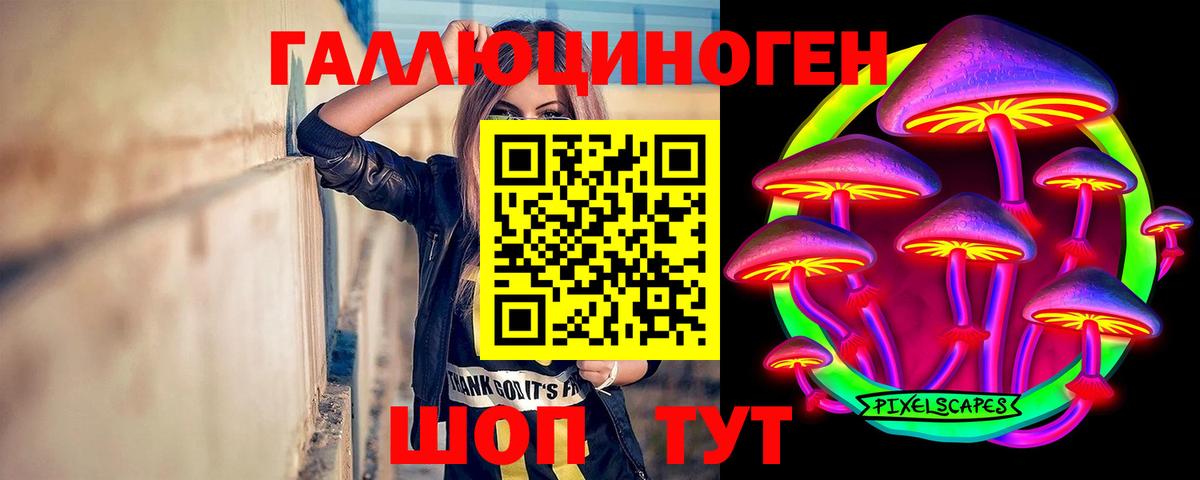 цена   Псилоцибиновые грибы Psilocybine cubensis  Галлюциногенные грибы MAGIC MUSHROOMS  Вход с VPN  Санкт-Петербург 